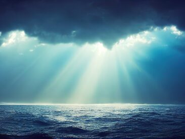 AdobeStock_529878370