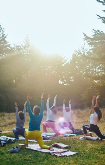 group of people raising their hands