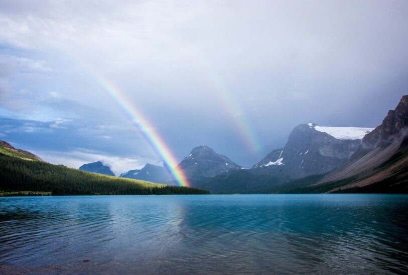 Foto von David Brooke Martin